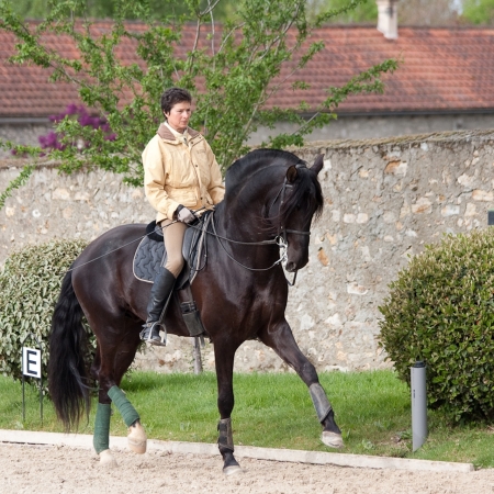 Catherine Henriquet montant Olympe du Plessis