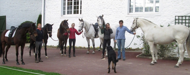 La cavalerie d'instruction