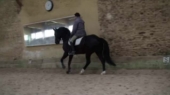 Whisper le 21 janvier 2011