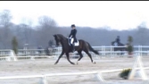 Whisper : Pro 2 GP le 6/4/2013 Grand National de Jardy